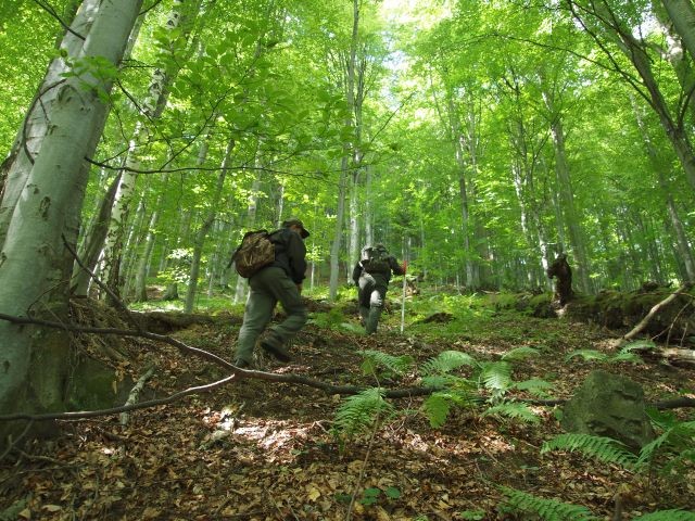 Pădurarii vor putea fi dotați cu armament de serviciu letal