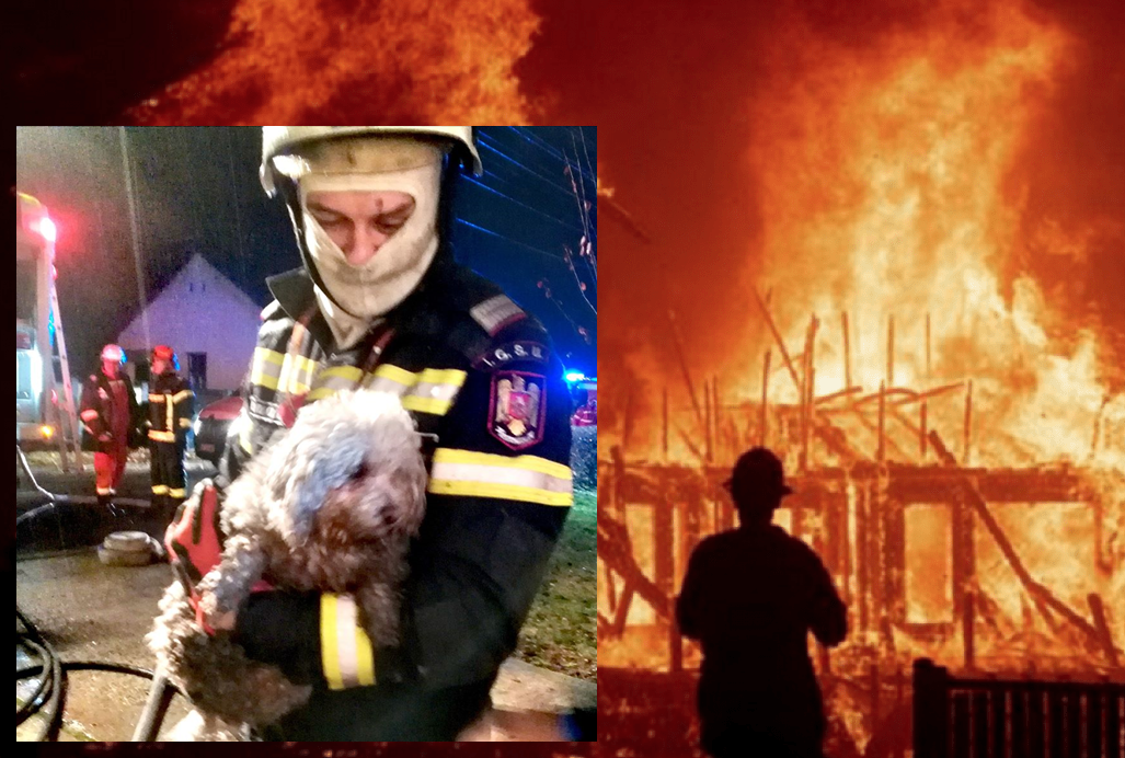 ”Nenea, cățelușii mei au rămas în casă!”. Altă zi, alt incendiu, un nou gest impresionant al unui pompier arădean