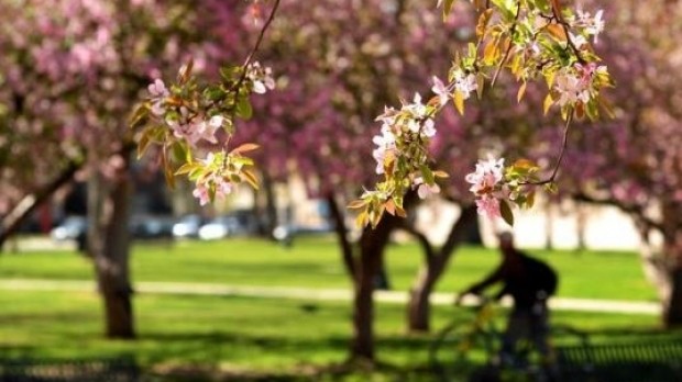 Cum va fi vremea în România, în următoarele două săptămâni