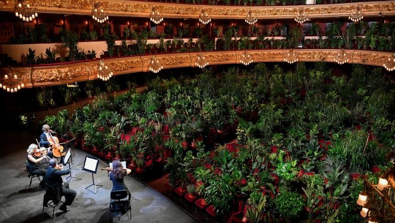 INEDIT. Artiștii Operei din Barcelona au cântat pentru 2.300 de plante decorative