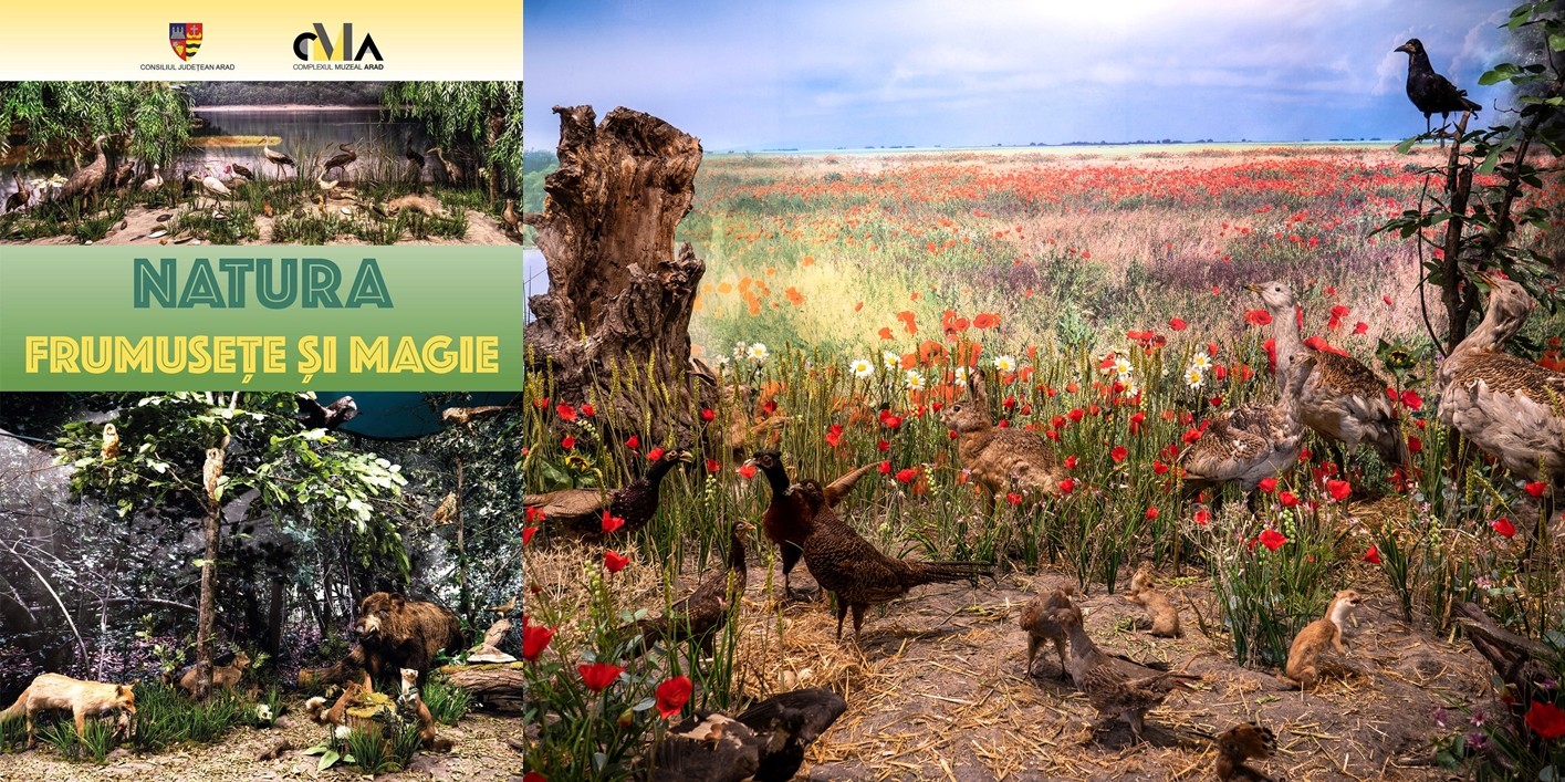 Biodiversitatea fascinantă a județului Arad, într-un nou concept expozițional la Muzeul de Științe ale Naturii