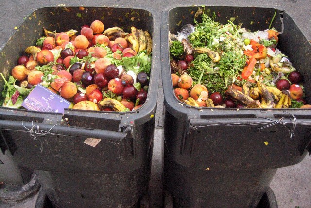 Aproape un miliard de tone de alimente au fost aruncate în 2019 - raport ONU