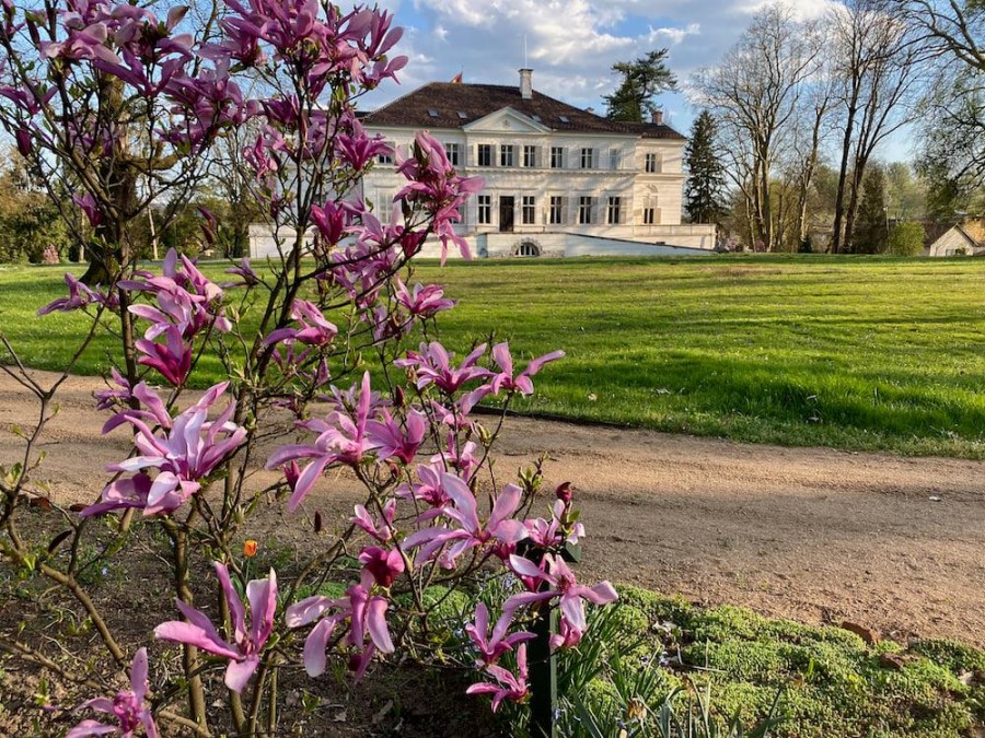 Imagini din Parcul Regal de la Săvârșin în Duminica Floriilor