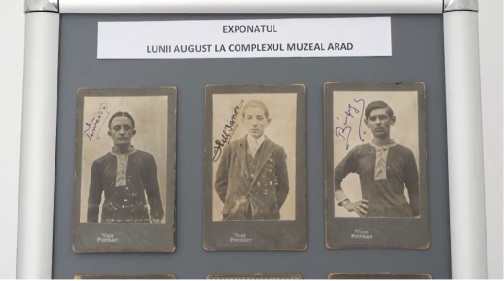 Exponatul lunii august la Complexul Muzeal Arad: o colecție de legitimații sportive, emise în anii 1913 și 1914