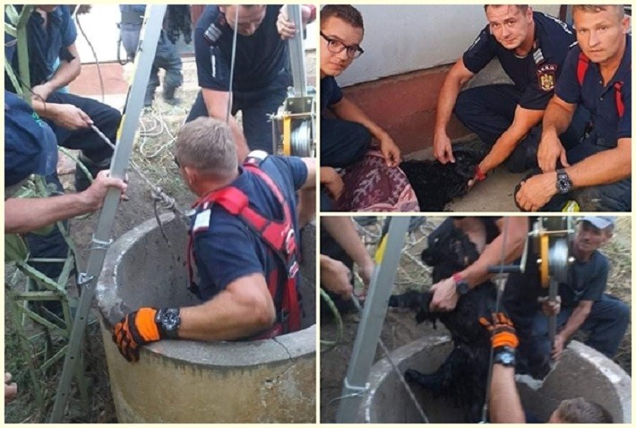 Pentru că orice viață contează! Pompierii arădeni au salvat un cățel căzut într-o fântână adâncă de 12 metri