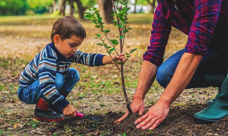 O veste bună! Educația pentru mediu, noua materie inclusă în programa școlară