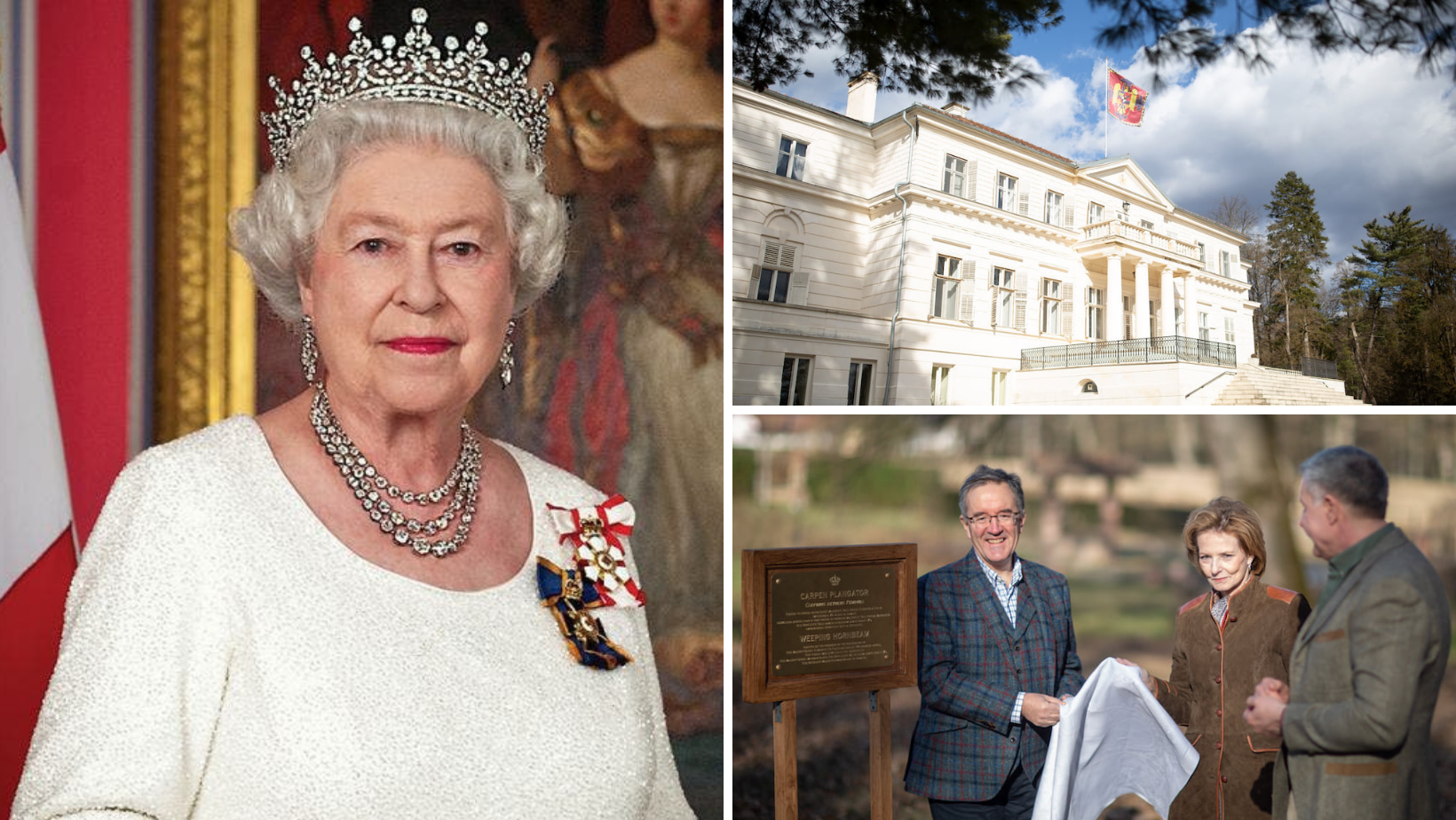 Copac sădit în onoarea Majestății Sale Regina Elisabeta a II-a la Săvârșin