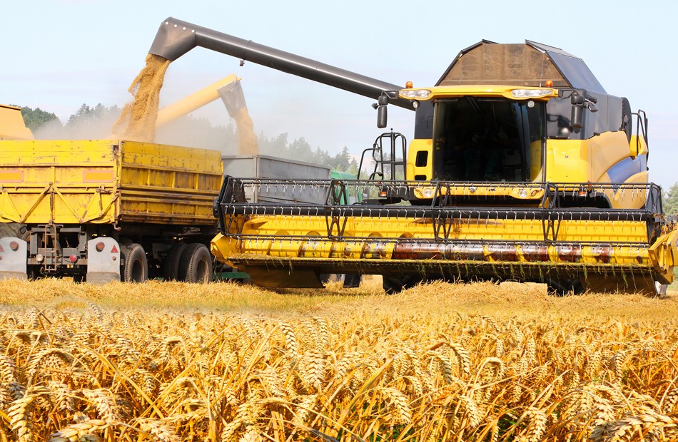 Guvernul ucrainean elaborează un plan pentru prevenirea unei eventuale crize alimentare la nivel mondial
