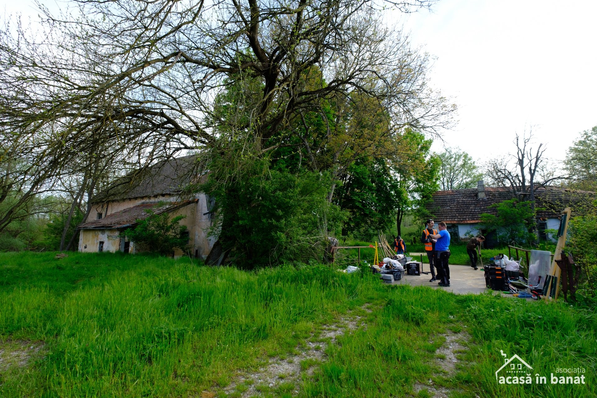 Moara Valeapai, construită în 1864, salvată de voluntarii de la Asociația Acasă în Banat. Hoții de fier au distrus valțuri vechi de peste 100 de ani
