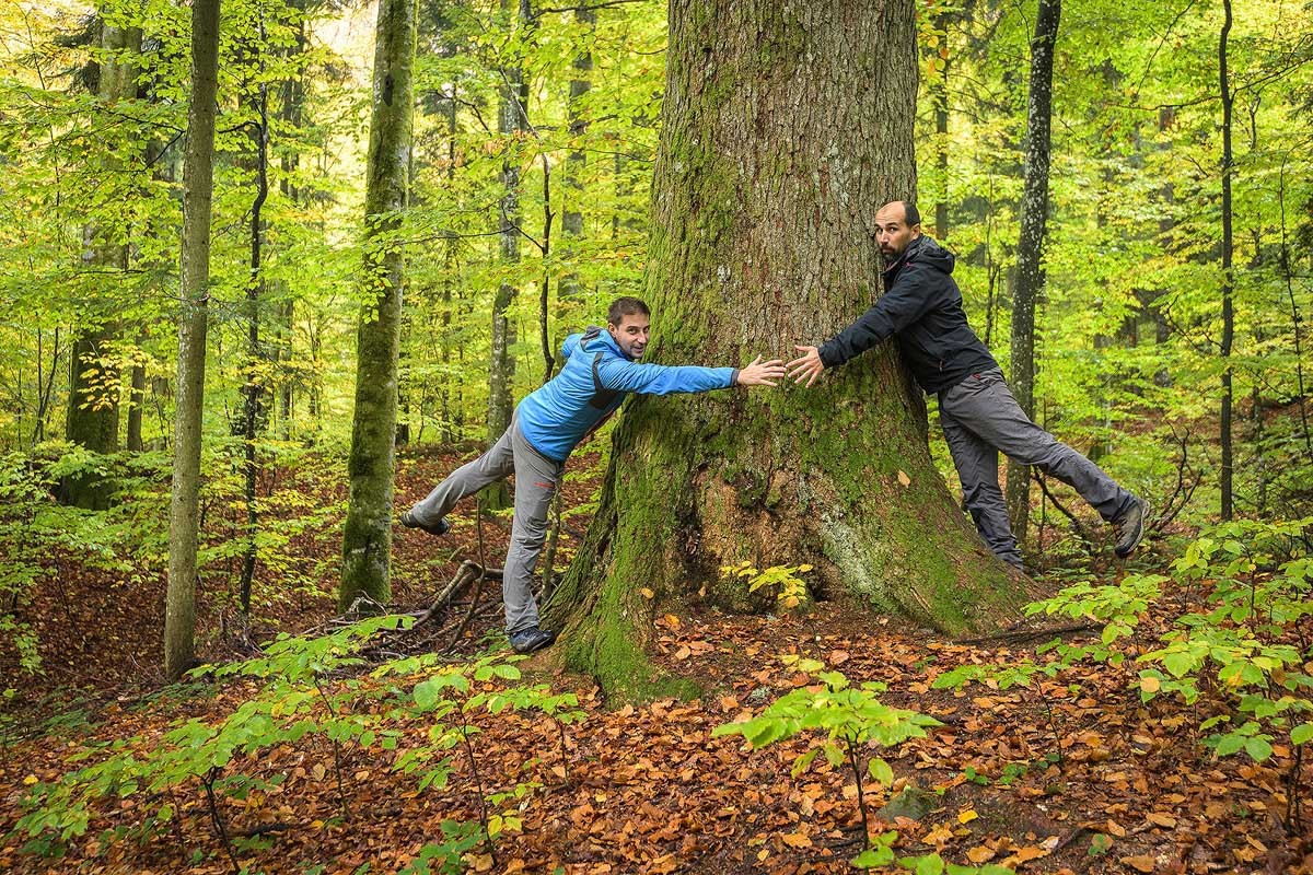 ”Noi suntem natura - regândim, restaurăm, reconectăm!” - Astăzi este Ziua europeană a parcurilor naţionale