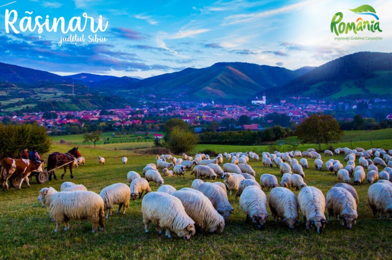 Răşinari, Biertan şi Ciocăneşti, cele trei sate care vor reprezenta România la etapa mondială a concursului „Best Tourism Villages”