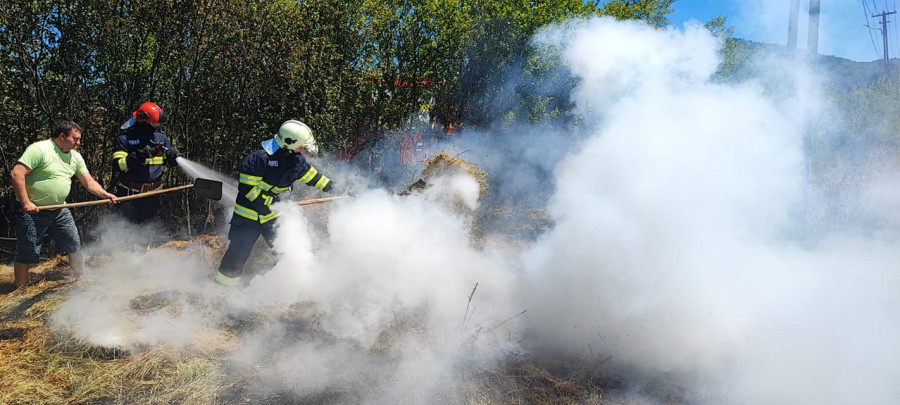 Pompierii arădeni au depus 17 sesizări penale pentru incendii de vegetaţie provocate în ultimele trei luni