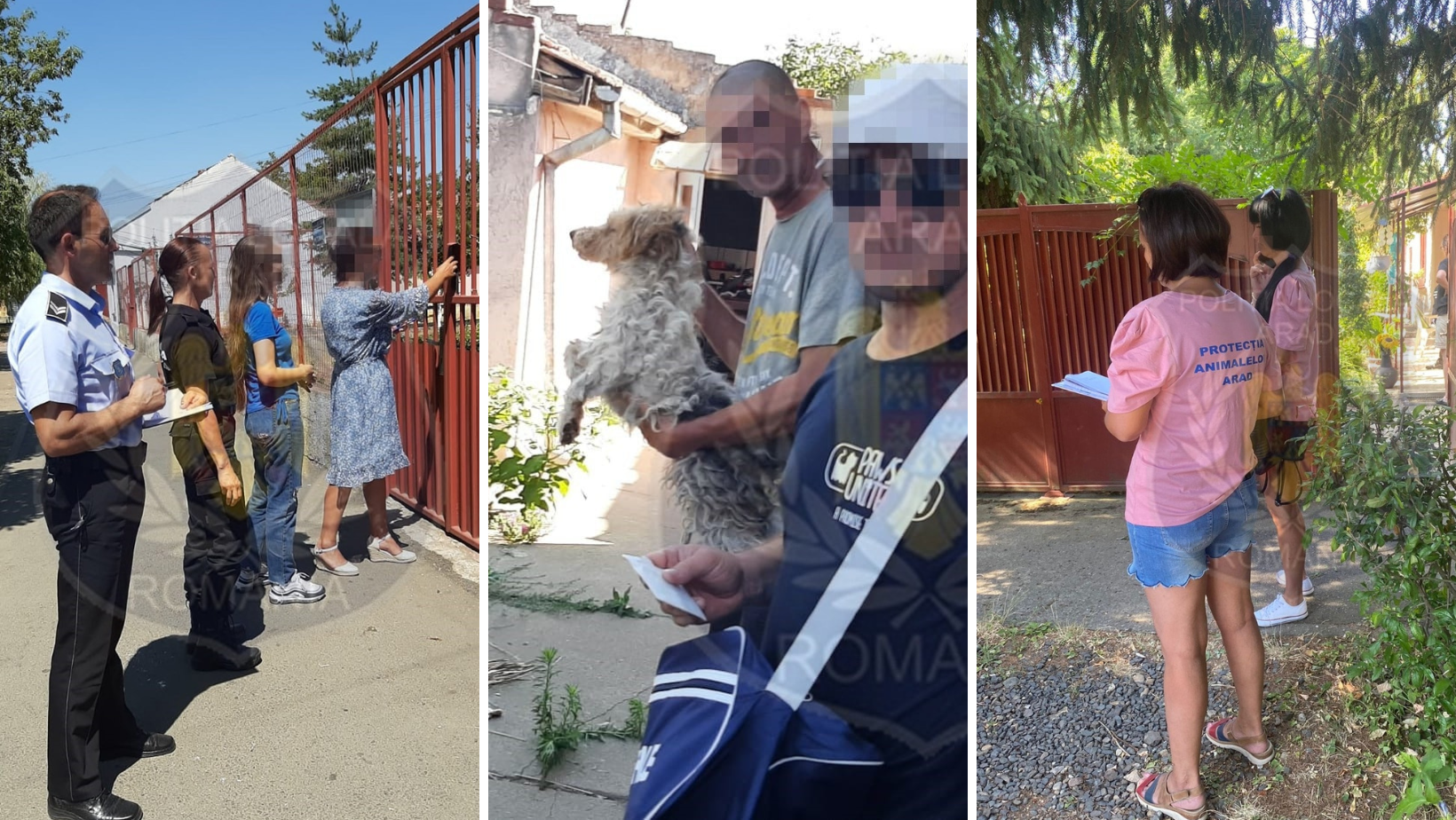 Arădenii care dețin animale, informați în aceste zile cu privire la obligațiile prevăzute de legislația în vigoare