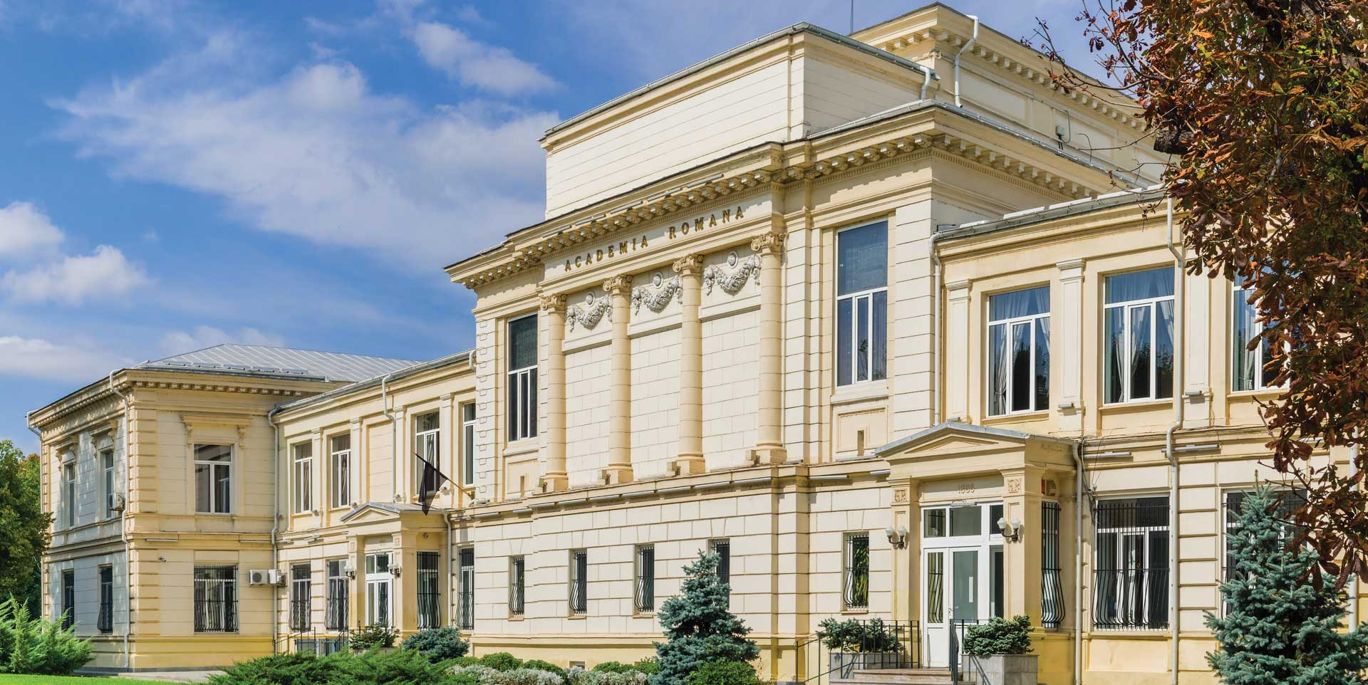 Zece tineri olimpici au primit burse de merit de la Academia Română