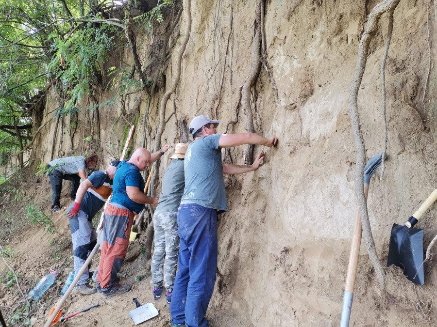 Un sit arheologic din paleolitic, descoperit într-o lutărie din Vrancea