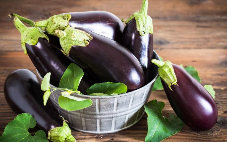 Beneficiile vinetelor