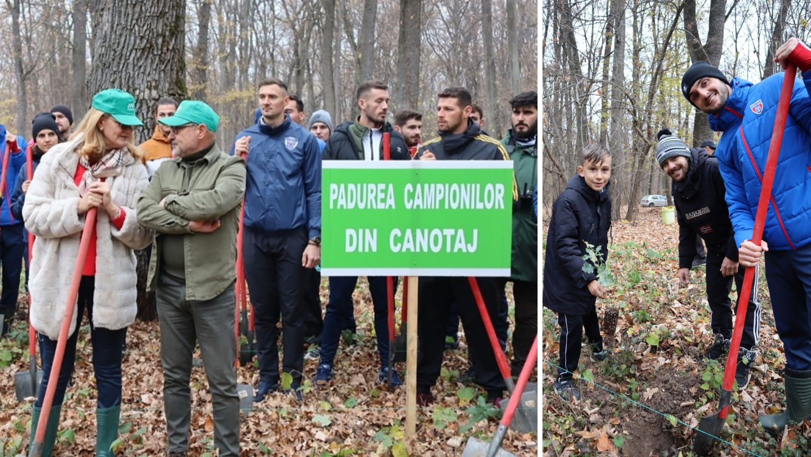 Canotorii români au plantat 1000 de puieți de stejar în Pădurea Campionilor de la Snagov
