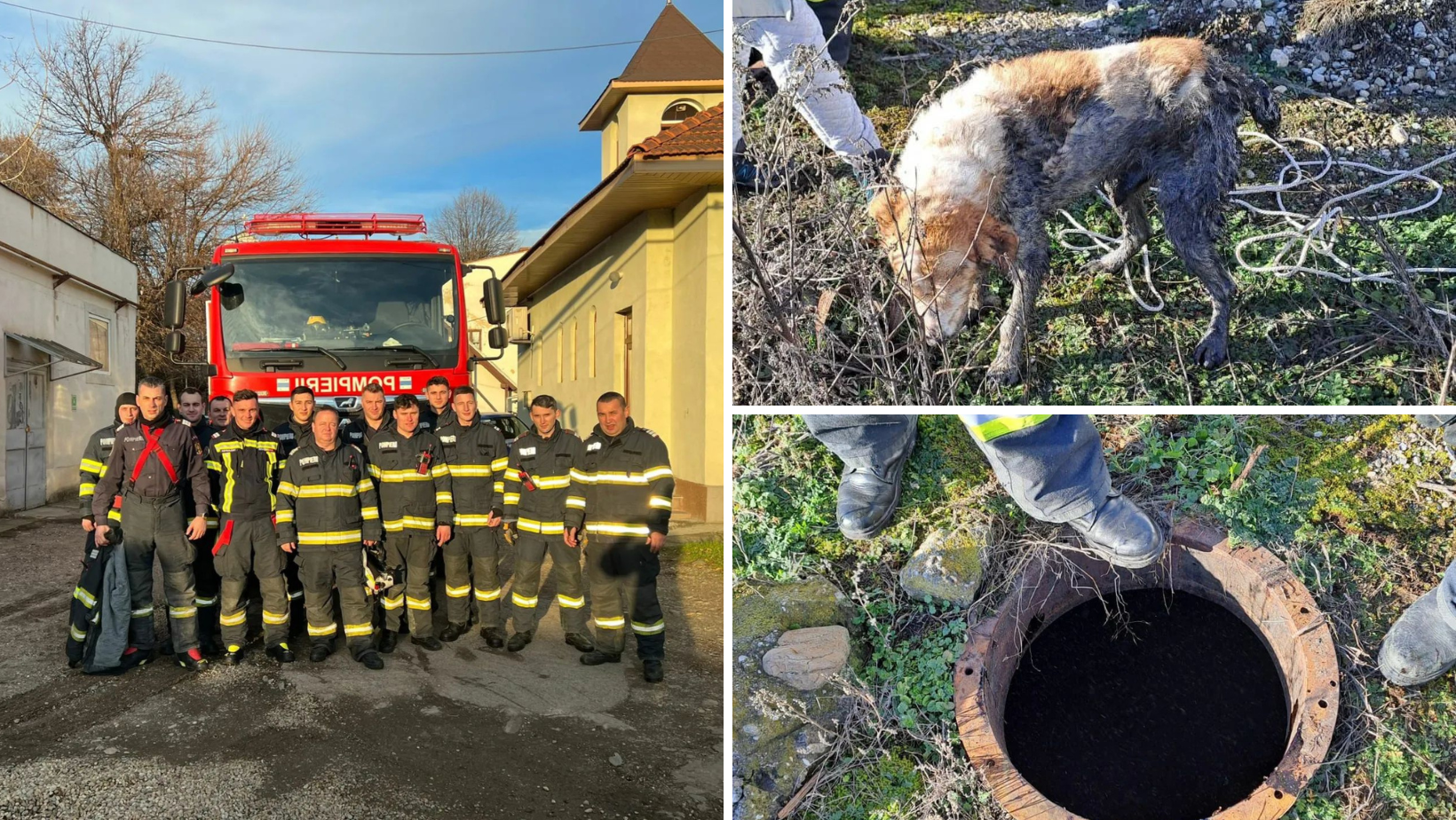 ISU Arad: Peste 30 de misiuni, în doar 24 de ore