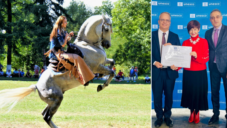 Certificatul de înscriere pentru „Tradiții de creștere a cailor lipițani” pe Lista UNESCO, prezentat oficial