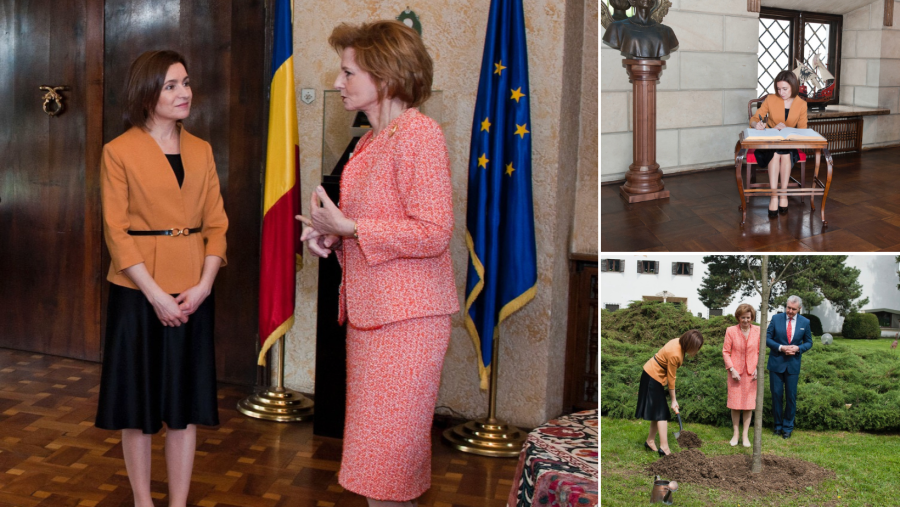 Președintele Republicii Moldova, oaspetele Custodelui Coroanei Române la Palatul Elisabeta