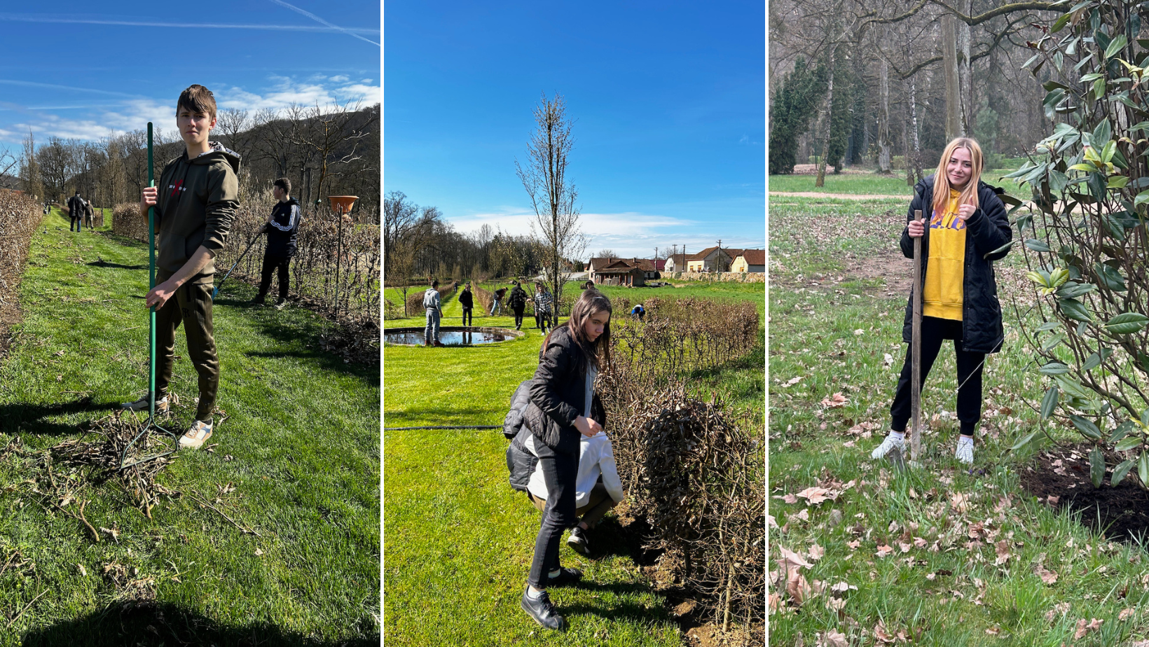 Elevii din Săvârșin, în practică de specialitate la Parcul Regal care adăpostește un stejar plantat în 1650