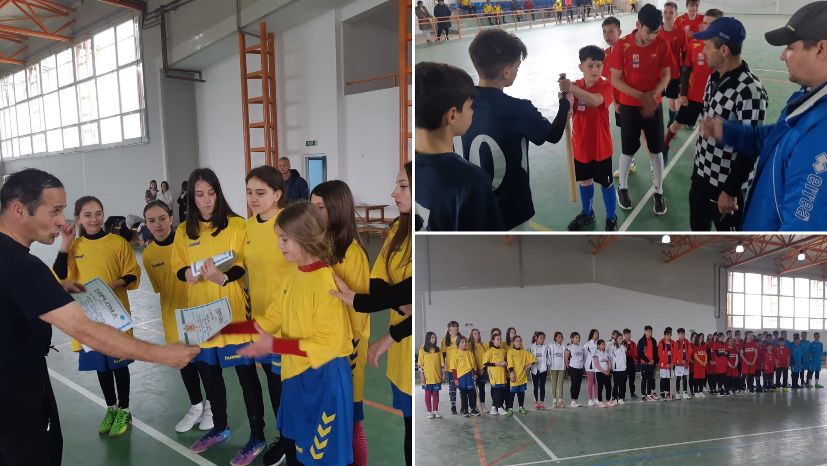 Aradul redescoperă Oina. Campionii județeni sunt din Almaș și Gurahonț