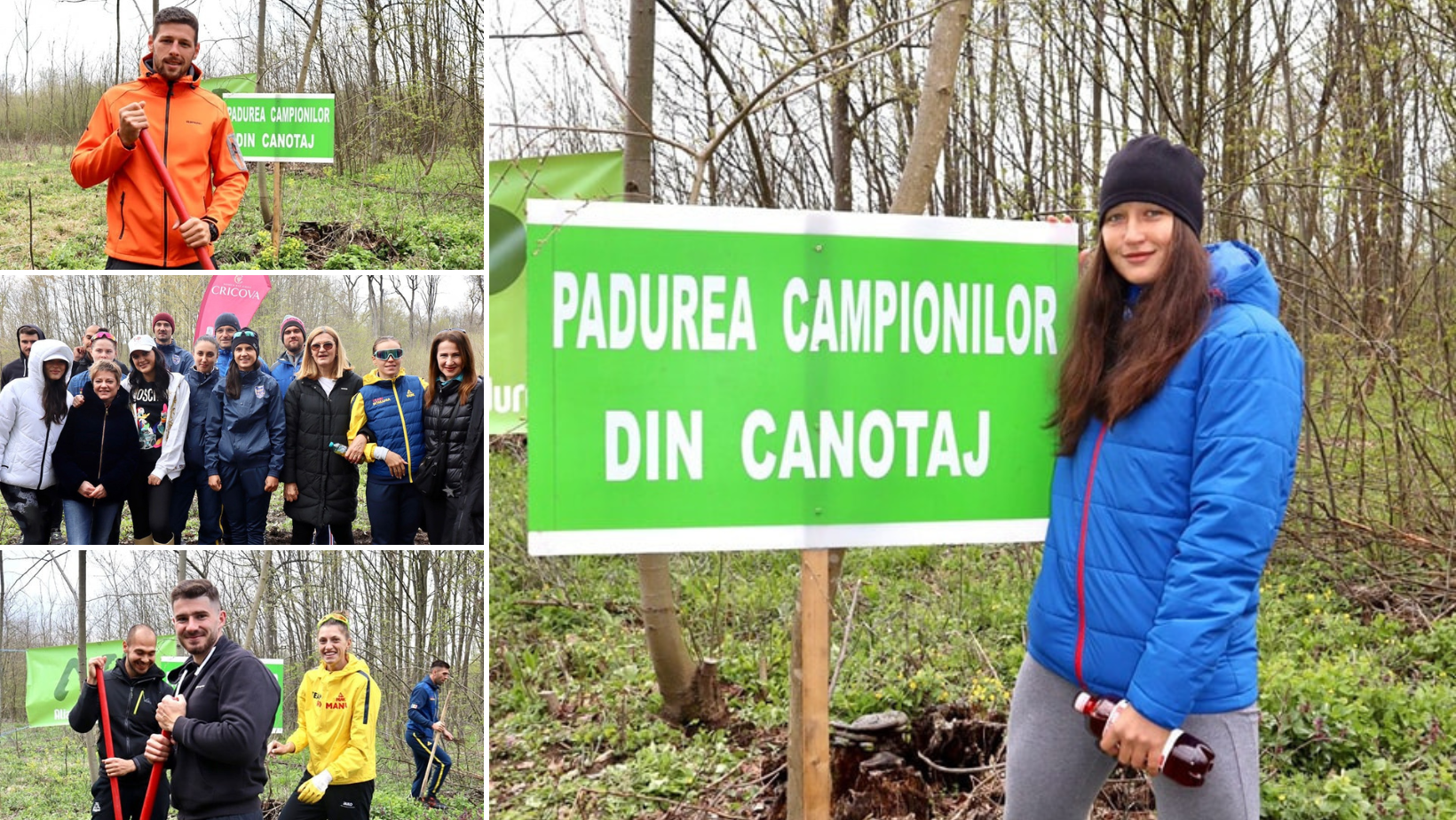 Zeci de sportivi au plantat astăzi 400 de puieți de stejar în „Pădurea Campionilor din Canotaj”