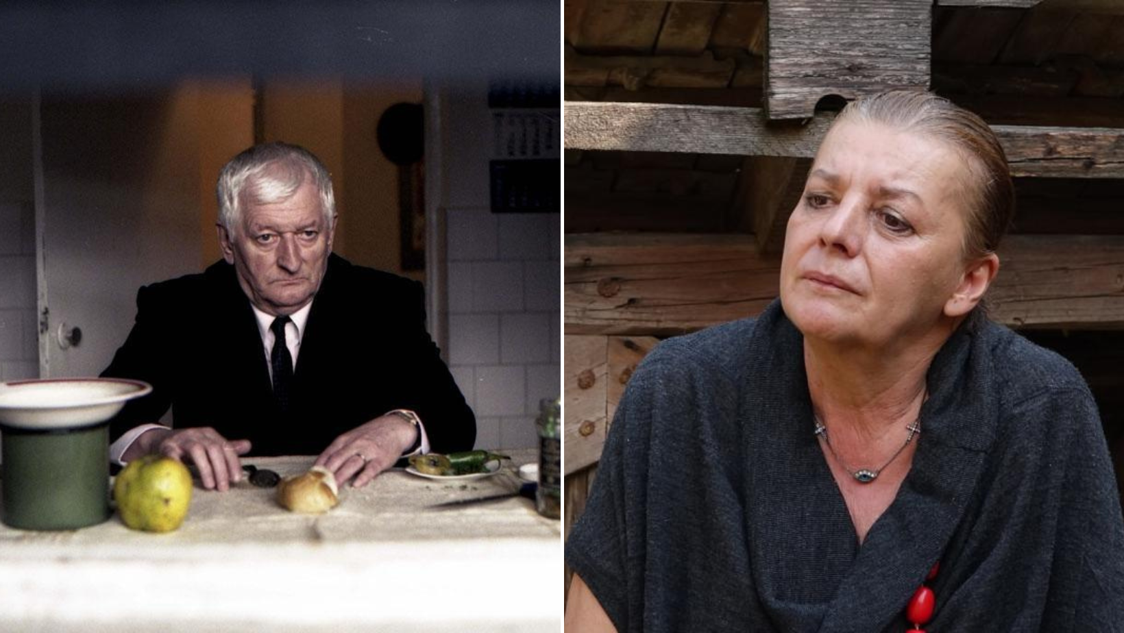 Actorii Ioana Crăciunescu și Mircea Andreescu, distinși cu Premiul pentru întreaga activitate, la Gala Premiilor Gopo 2023