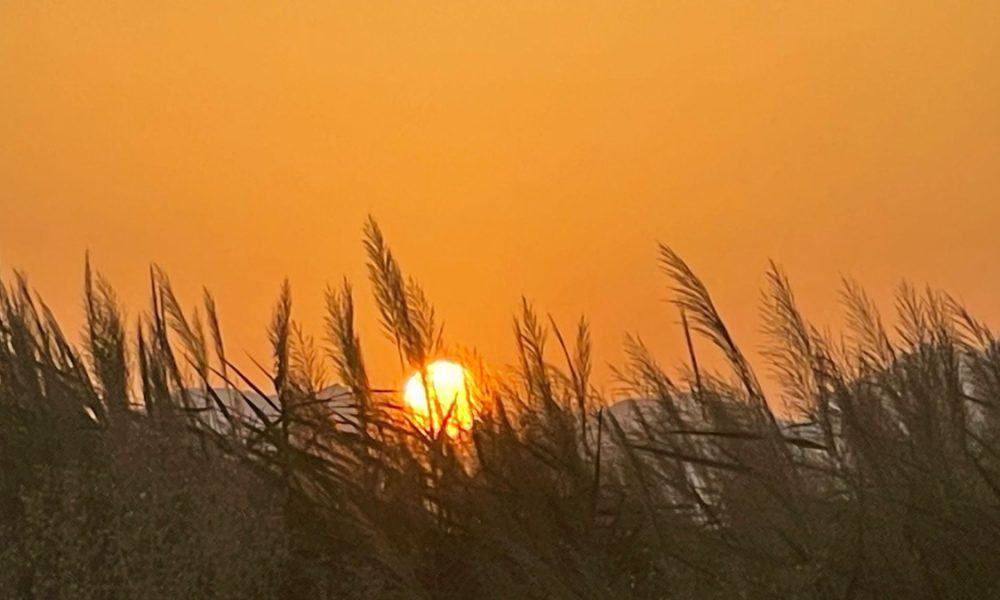Temperaturi mai ridicate decât cele normale în următoarele patru săptămâni