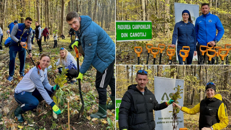 Canotorii români au plantat încă 1000 de puieți de stejar în ”Pădurea Campionilor”
