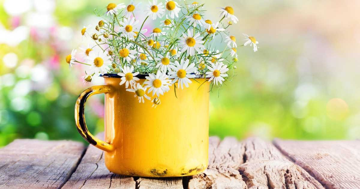 Vremea începe să se încălzească de Florii. Cum va fi de Paște și 1 Mai
