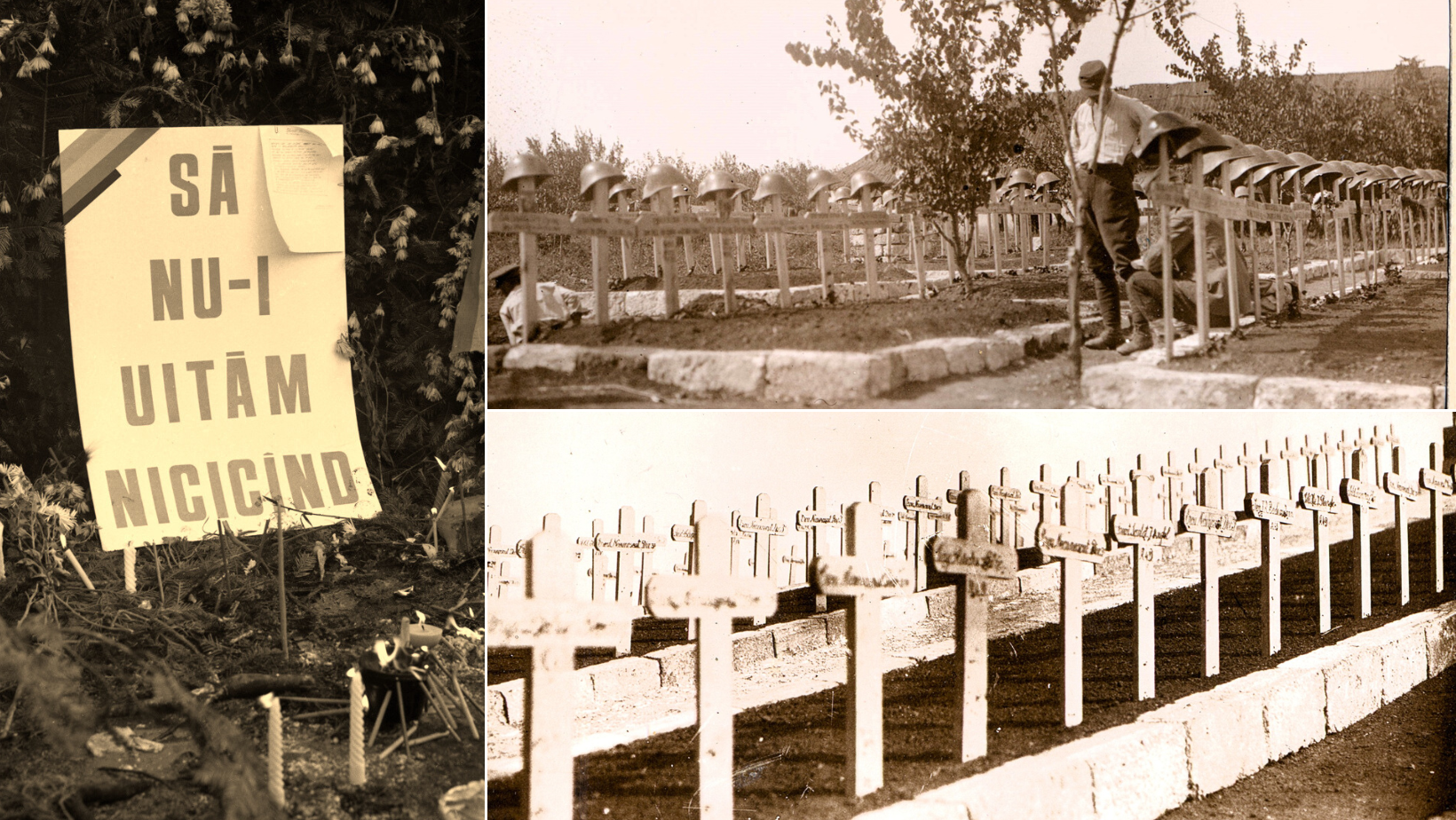 Să nu-i uităm nicicând! Ziua Eroilor, marcată de Muzeul Militar Naţional „Regele Ferdinand I”