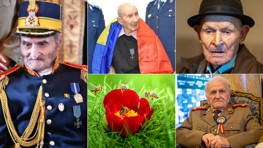 Să le mulțumim și să îi onorăm cât încă îi mai avem! Astăzi este Ziua lor, Ziua Veteranilor de război