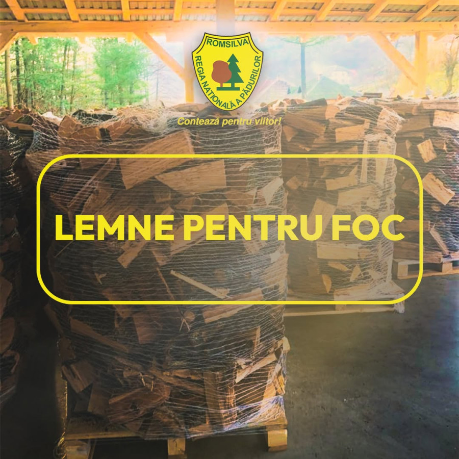 Romsilva pune la dispoziția populației aproximativ 2 milioane de metri cubi de lemn pentru foc în 2026, la prețuri similare celor de anul trecut